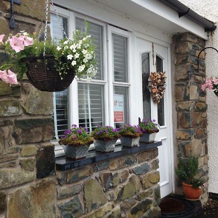 Snowdonia Snug - Studio Style Accommodation Dolgellau Luaran gambar