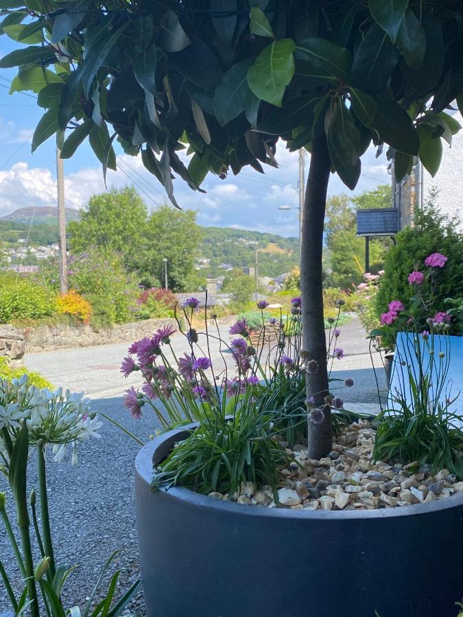 Snowdonia Snug - Studio Style Accommodation Dolgellau Luaran gambar